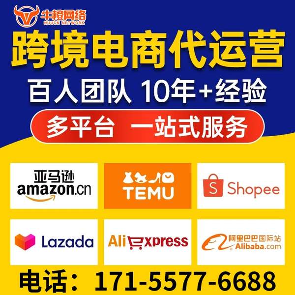 瑞昌电商代运营