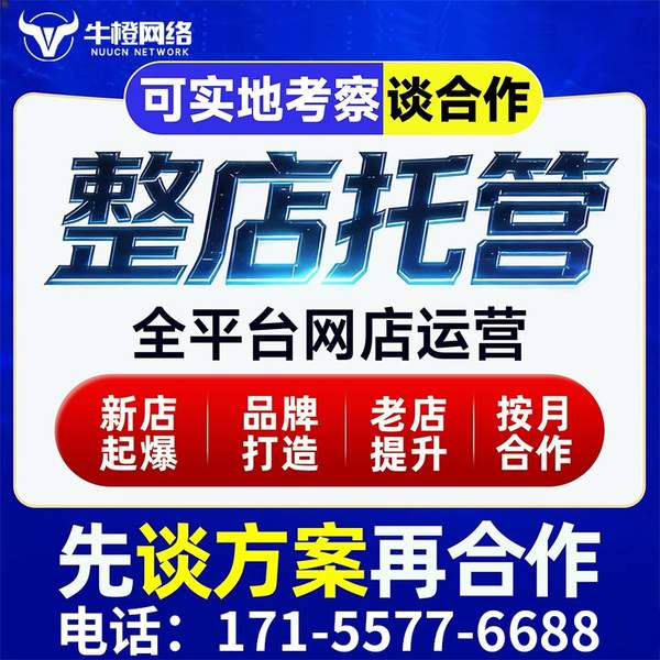 瑞昌电商代运营
