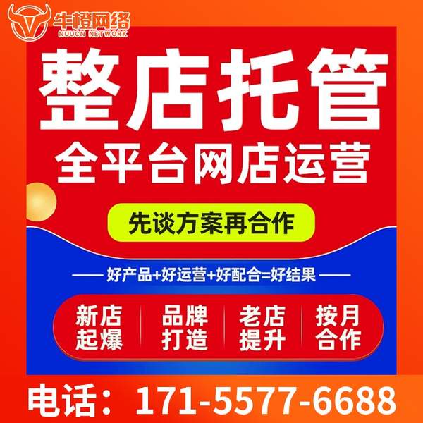 瑞昌电商代运营