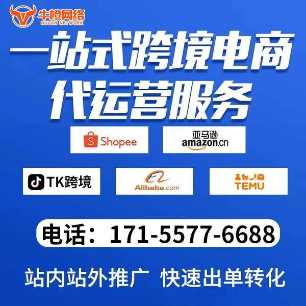 瑞昌电商代运营