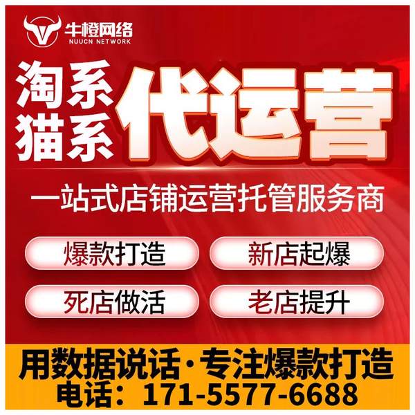 瑞昌电商代运营